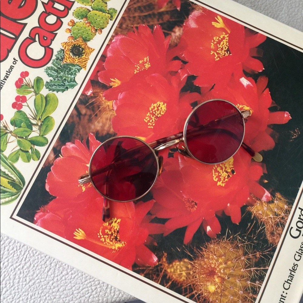 Vintage Vogue Sunglasses